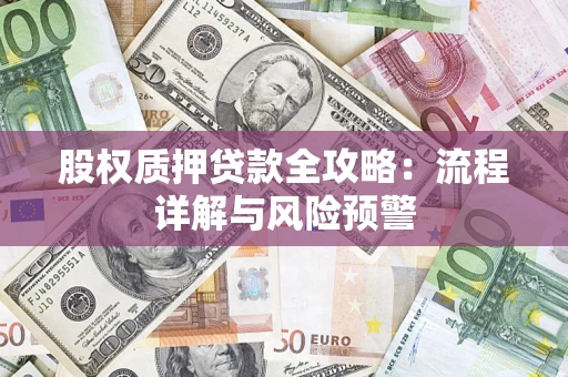 武汉股权质押贷款全攻略：流程详解与风险预警