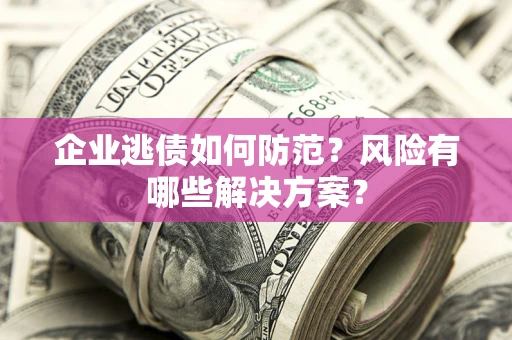 武汉企业逃债如何防范？风险有哪些解决方案？