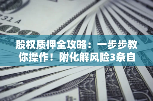 武汉股权质押全攻略：一步步教你操作！附化解风险3条自救法则