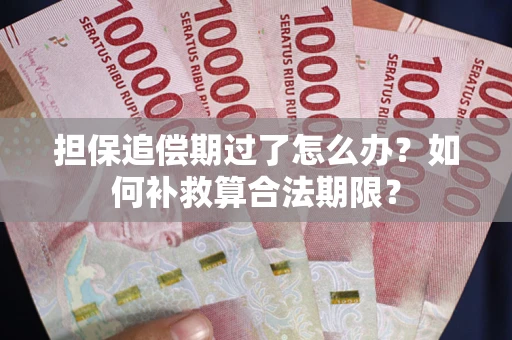 武汉担保追偿期过了怎么办？如何补救算合法期限？