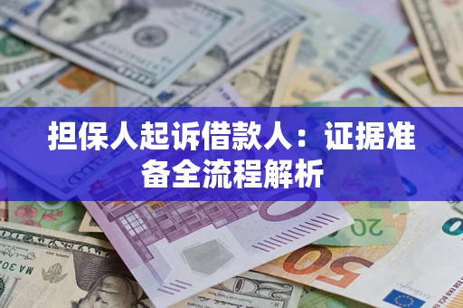 武汉担保人起诉借款人：证据准备全流程解析