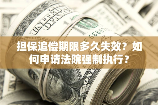 武汉担保追偿期限多久失效？如何申请法院强制执行？