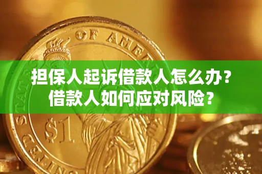 武汉担保人起诉借款人怎么办？借款人如何应对风险？