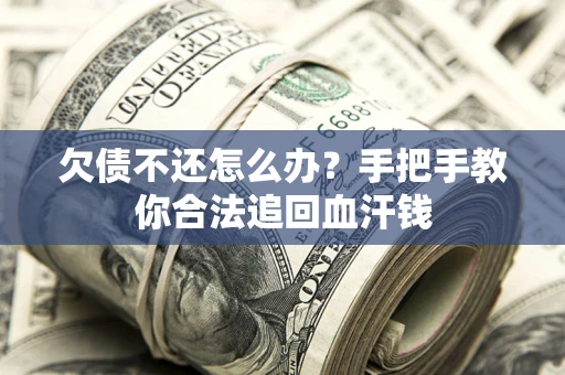 武汉欠债不还怎么办?手把手教你合法追回血汗钱 武汉欠债不还怎么办?手把手教你合法追回血汗钱