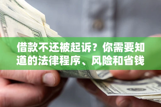 武汉借款不还被起诉？你需要知道的法律程序、风险和省钱技巧